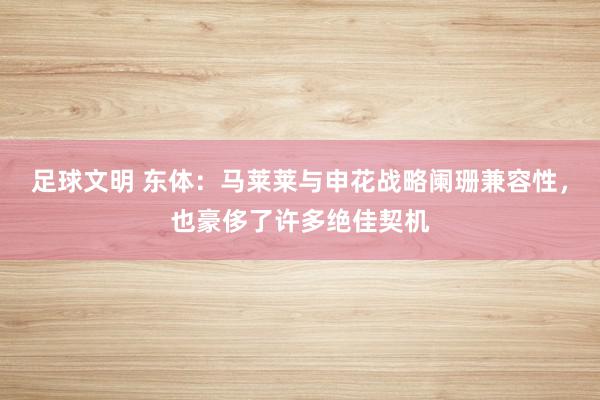 足球文明 东体：马莱莱与申花战略阑珊兼容性，也豪侈了许多绝佳契机