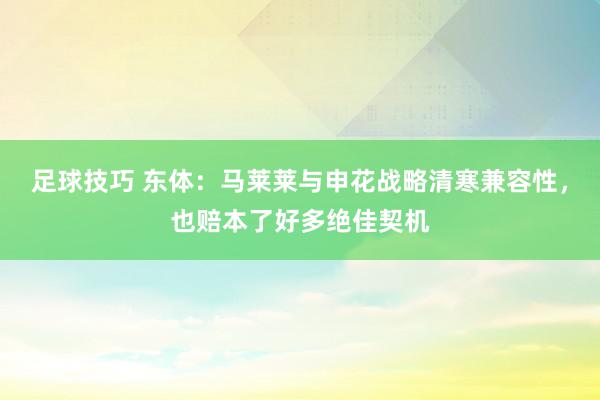 足球技巧 东体：马莱莱与申花战略清寒兼容性，也赔本了好多绝佳契机