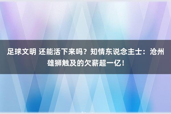 足球文明 还能活下来吗？知情东说念主士：沧州雄狮触及的欠薪超一亿！