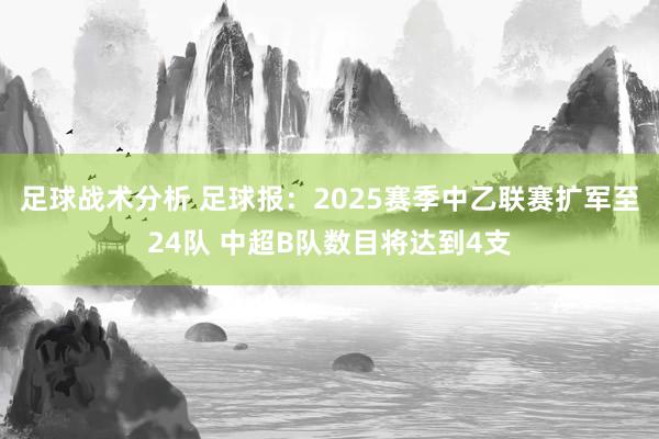 足球战术分析 足球报：2025赛季中乙联赛扩军至24队 中超B队数目将达到4支