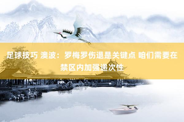 足球技巧 澳波：罗梅罗伤退是关键点 咱们需要在禁区内加强递次性